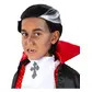 Boys vampire wig