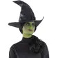 Black wicked witch hat