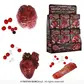 Squishy organs, 10cm