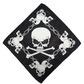 Bandana, big skull
