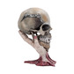 Nemesis now metallica  sad but true skull 22cm