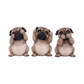 Three wise pugs 8.5cm