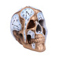 Nemesis now time goes by clock skull 17.5cm