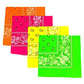 Pack of 4 neon paisley bandanas