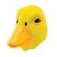 Duck mask 