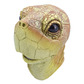 Turtle mask