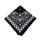 Bandana, checkered skull