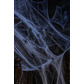 White spider webs & spiders