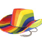 Rainbow cowboy hat 