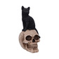 Familiar fate cat and skull statue 24.3cm 