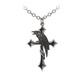 Alchemy crux corvis necklace