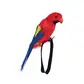 Parrot - feather with wrist strap