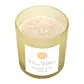 New moon wild orange crystal chip candle