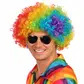 Afro wig, rainbow 