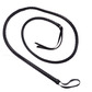 Bull whip, black