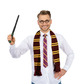 Wizard glasses, wand, tie & scarf