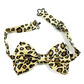 Bow tie clip on, leopard 