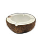 Coconut ashtray