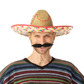 Mexican sombrero hat