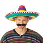 Mexican sombrero hat, rainbow