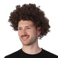 Afro wig, brown