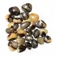 Turtle jasper tumble stone crystals 