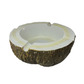 Coconut ashtray