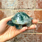 Fluorite turtle 289g