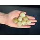 Citrine tumble stone