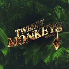 Twelve Monkeys 